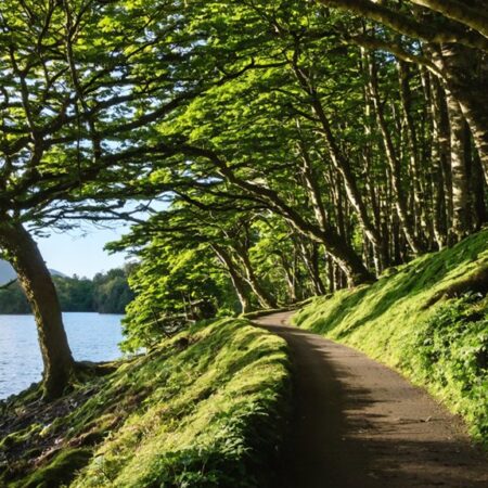 Parque de Piñera en Chiloé – Chile